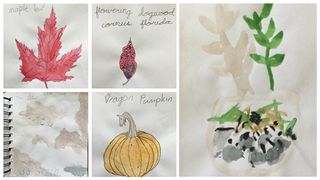 Nature journals from South City Community School